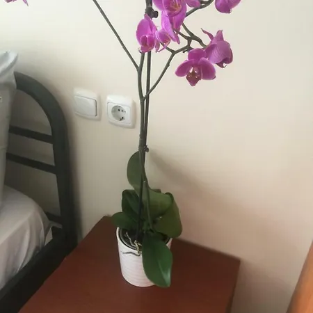 By The Train Station * Larissa