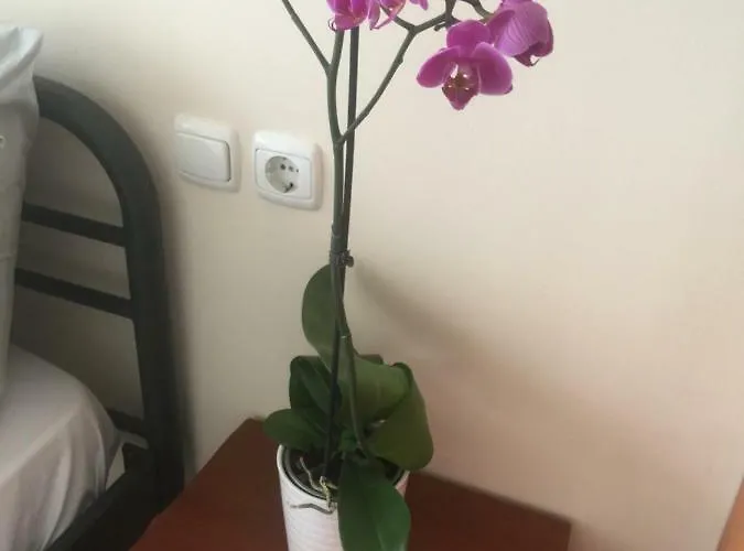 By The Train Station * لاريسا